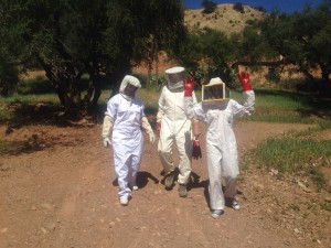 Initiation to Beekeeping